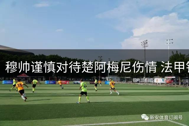 穆帅谨慎对待楚阿梅尼伤情 法甲铁腰或第五轮复出